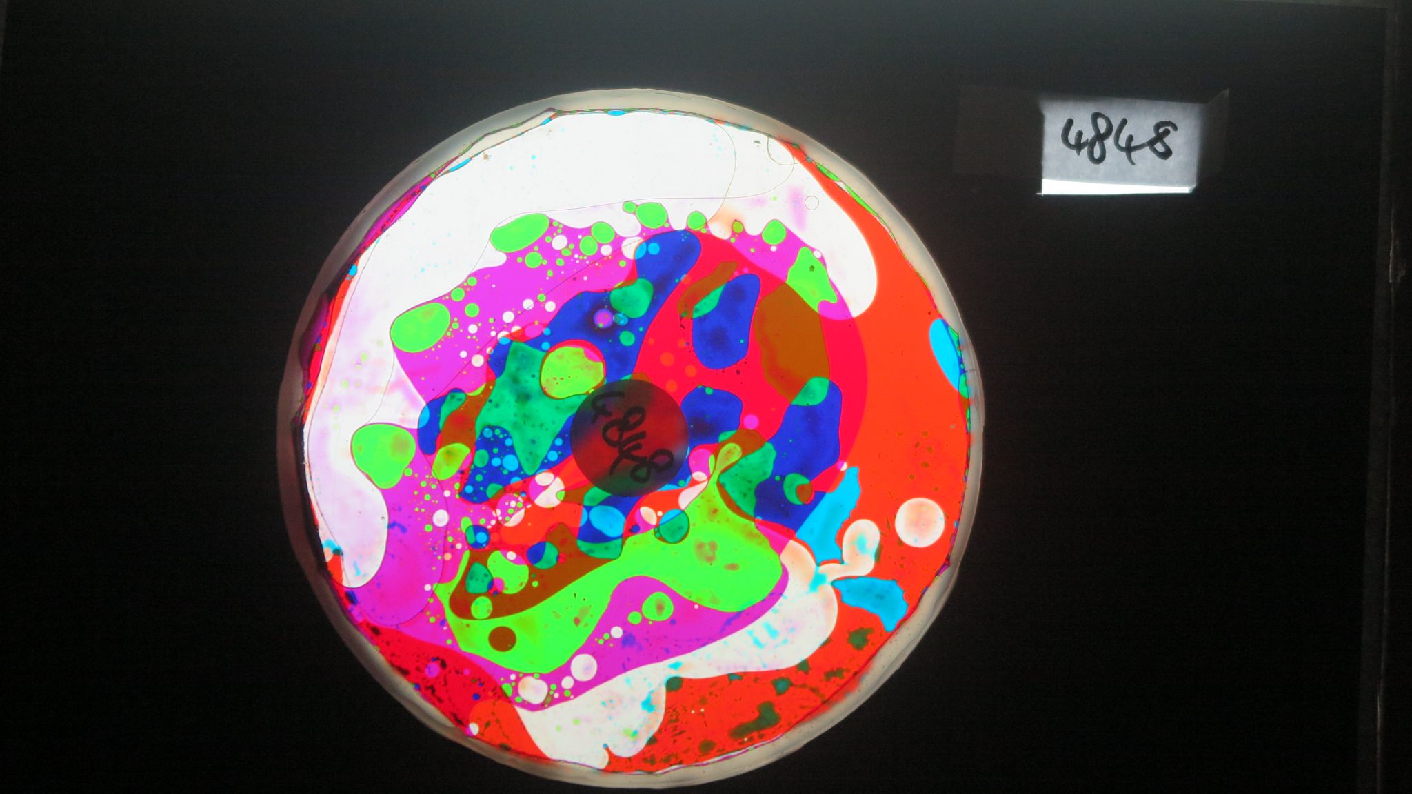 BV4848 bubble vision oil wheel